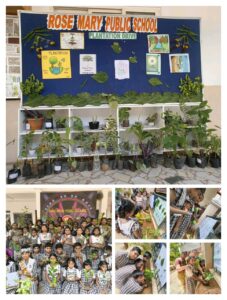 Read more about the article PLANTATION DRIVE – 2026
